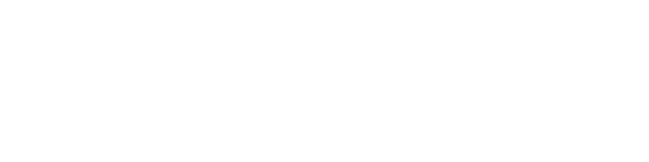 Logo DQLVS